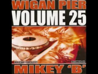 volume 25 mixed by mikey b